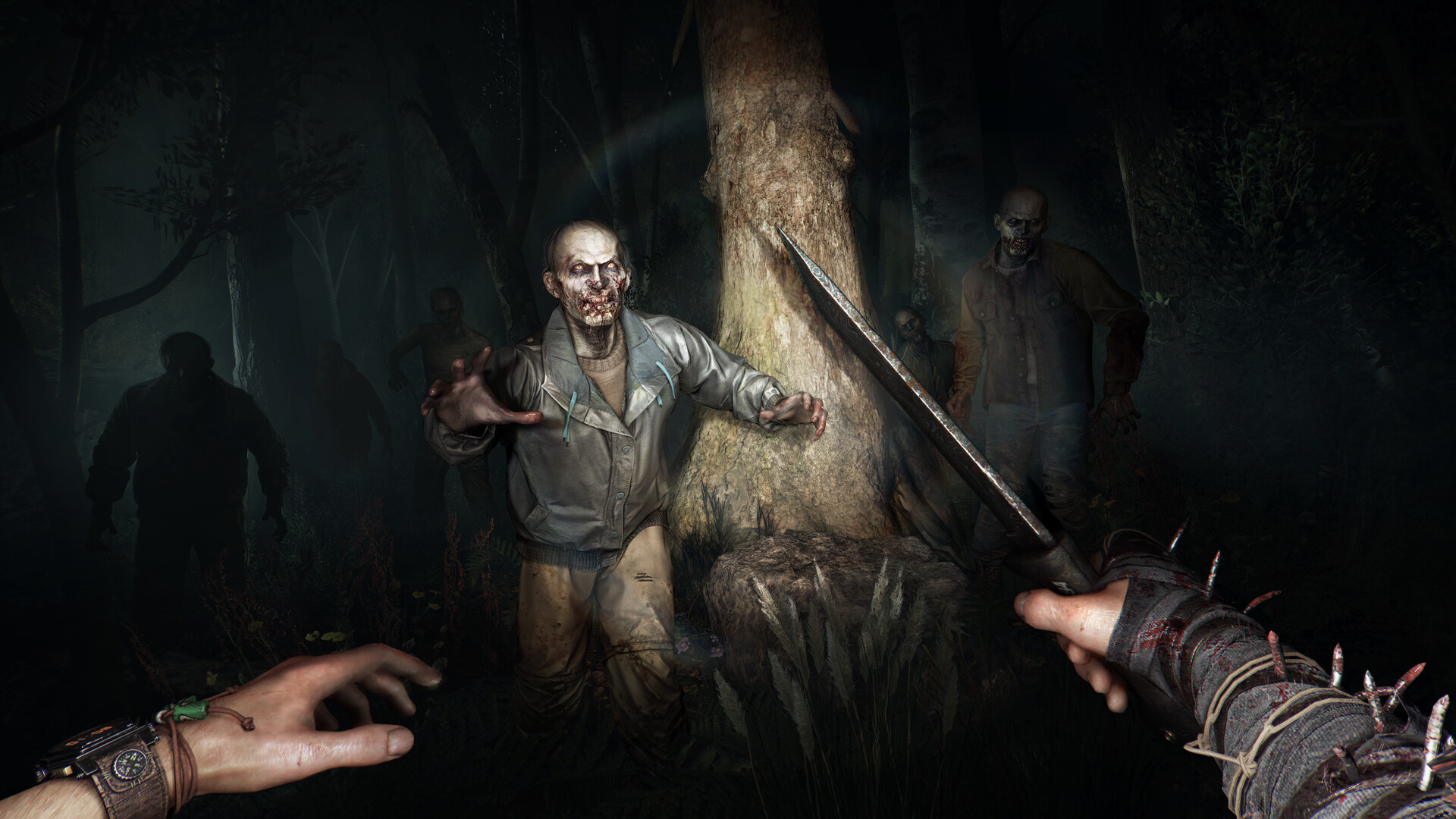 dying-light-the-beast-pc-screenshot-4