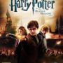 Harry Potter And The Deathly Hallows Part 2-SKIDROW